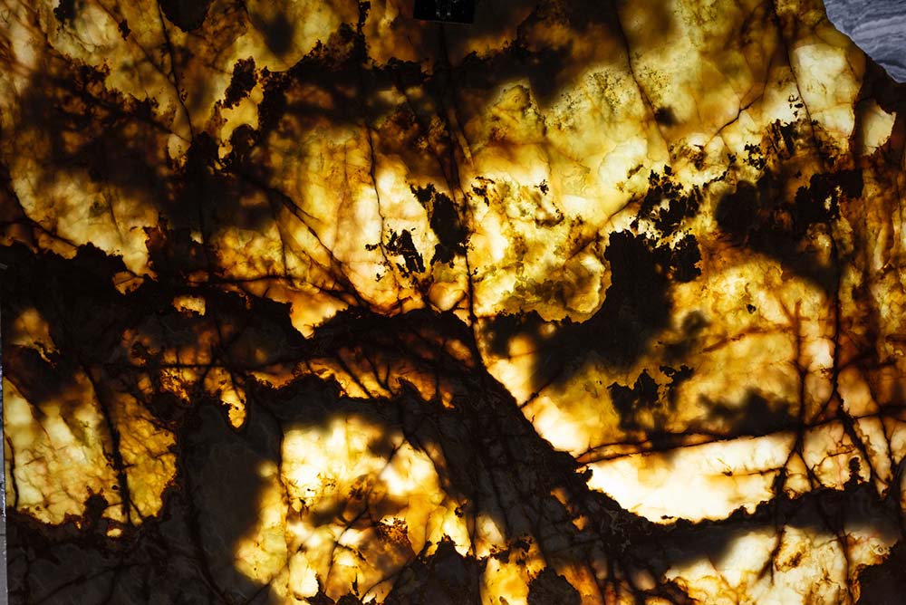 Tree Onyx - Backlit